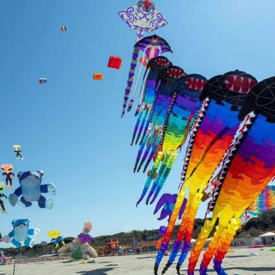 International Kite Festival 2027 - Pinarella di Cervia