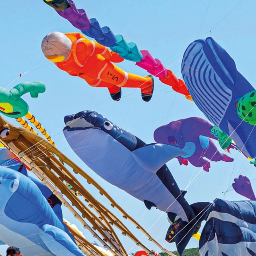 International Kite Festival 2025 - Pinarella di Cervia