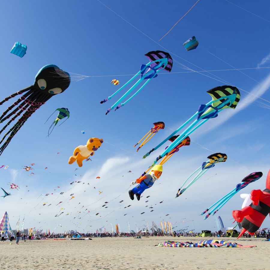 International Kite Festival, colours and fantasy from the world